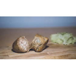 Cou de canard farci au foie...