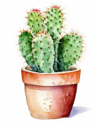 Cactus